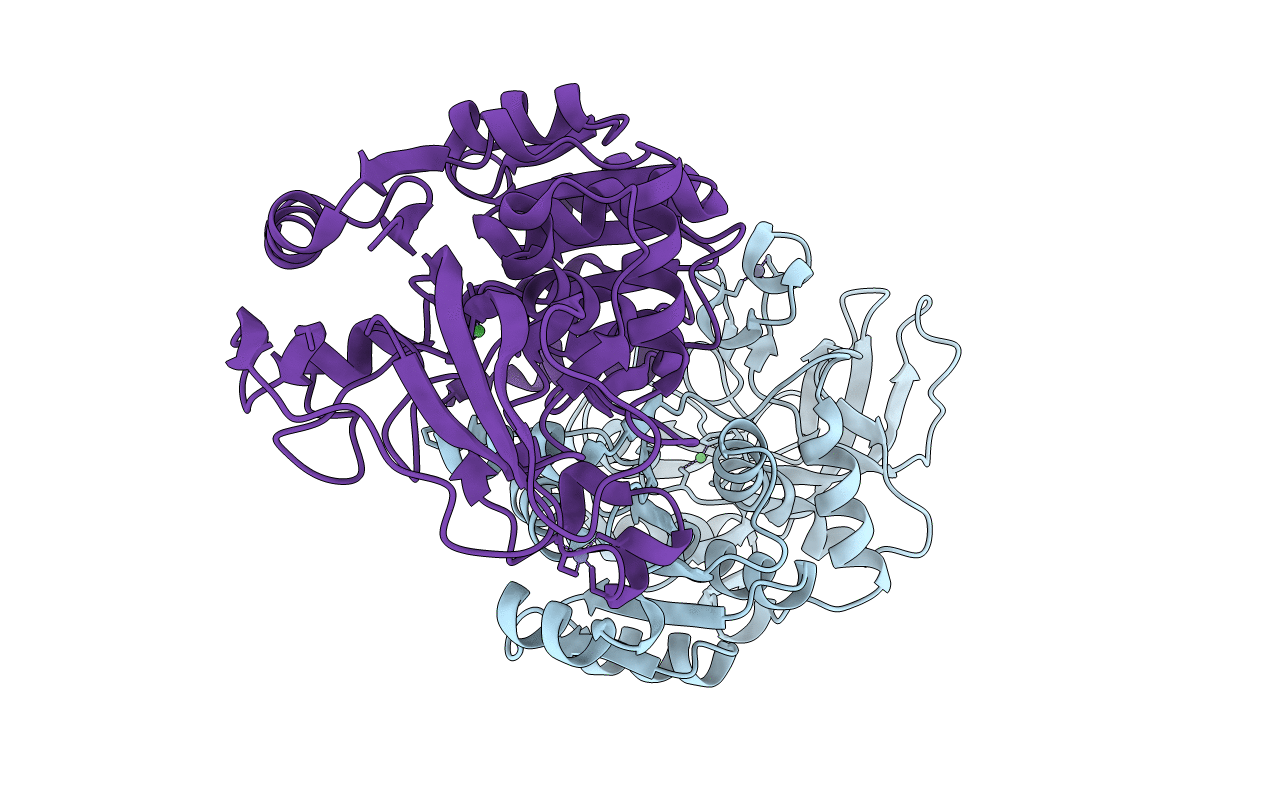 4A2C image