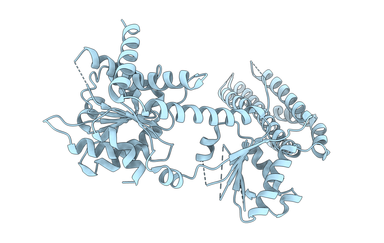 4A2P image