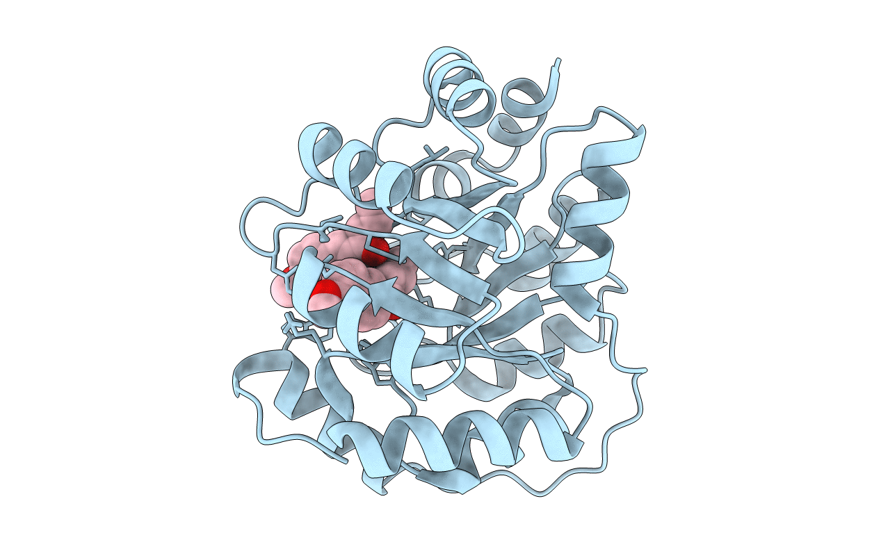 4A2S image