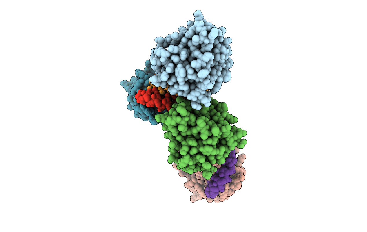 4A2X image