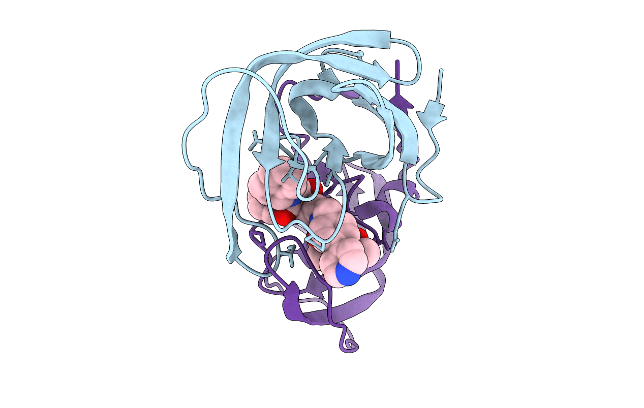 4A4Q image