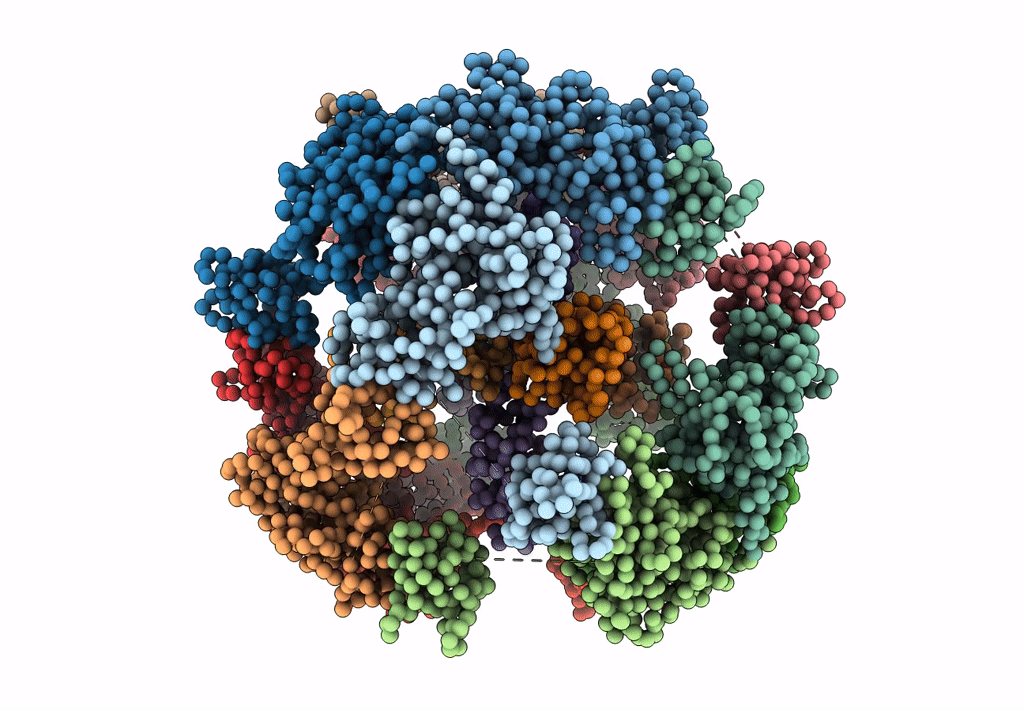 4A8B image