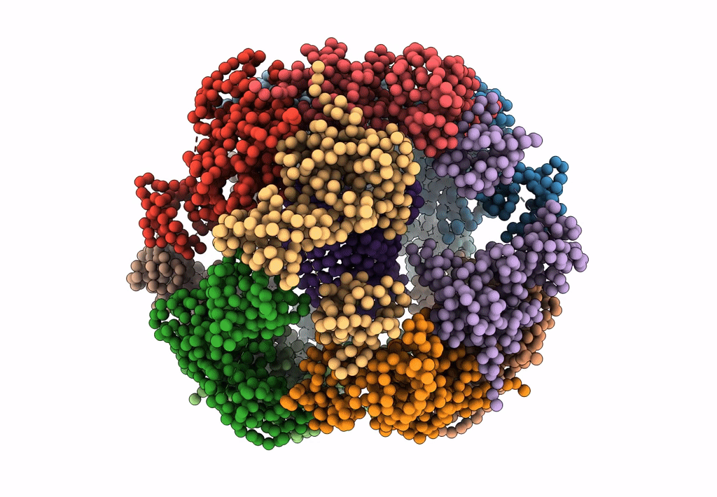4A8D image