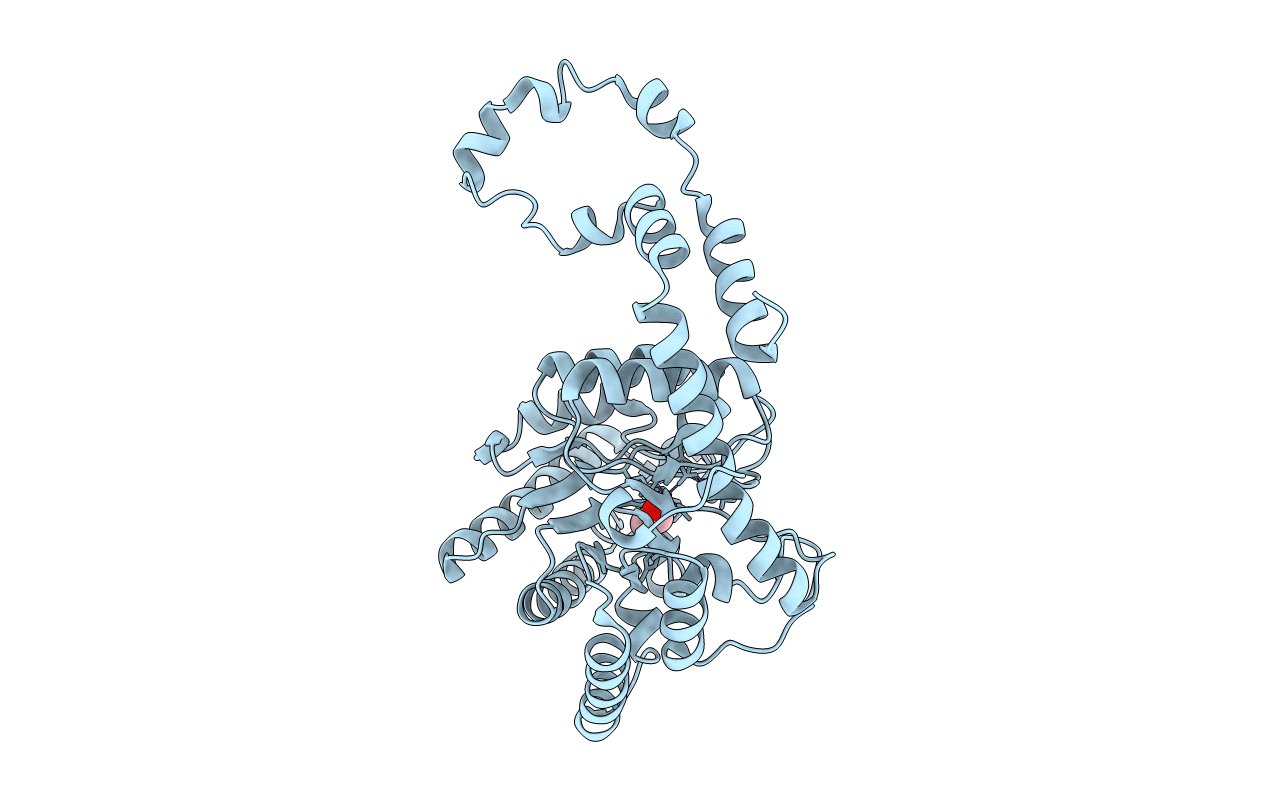 4A8I image