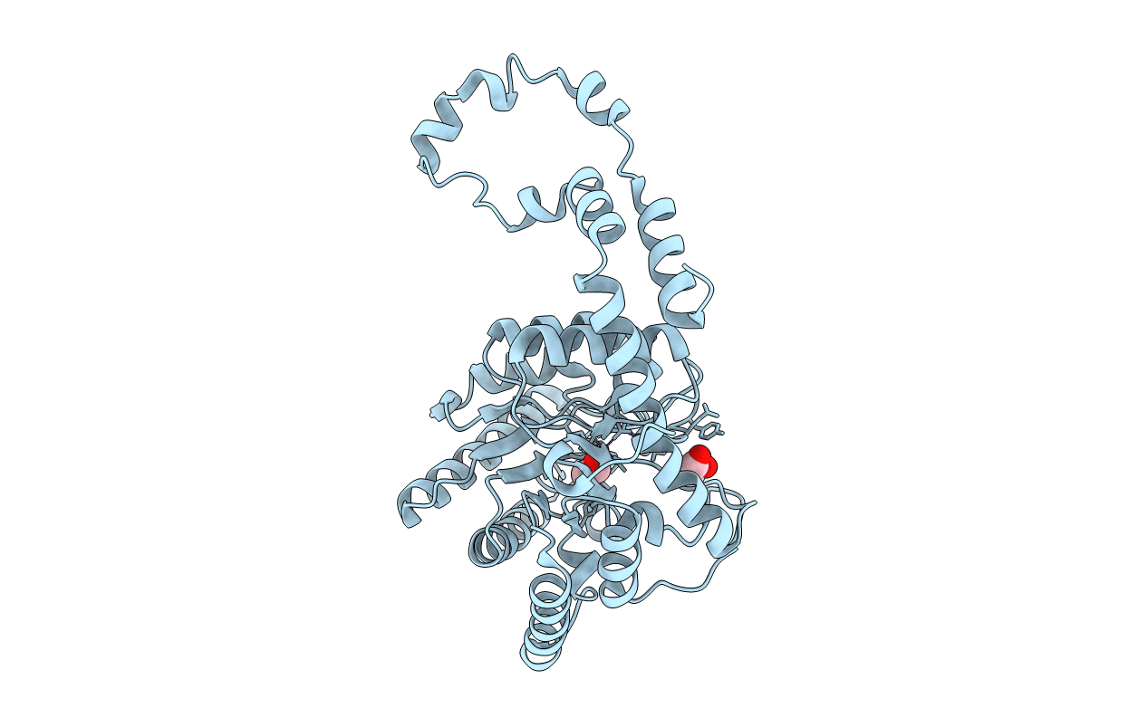 4A8R image