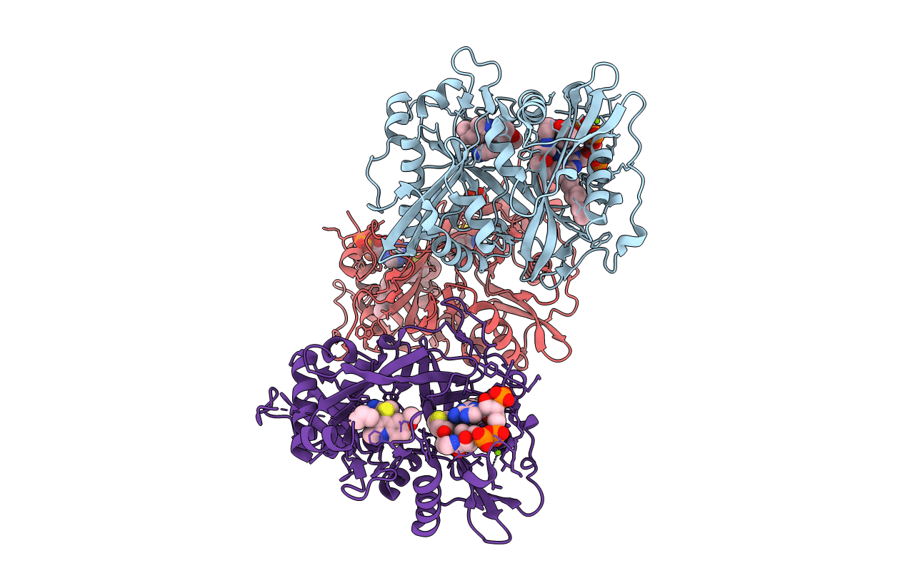 4A95 image