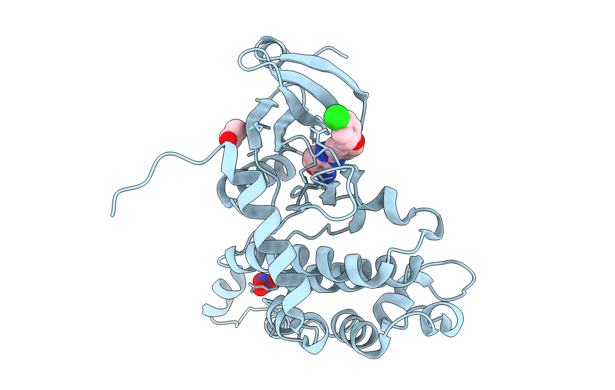 4A9R image