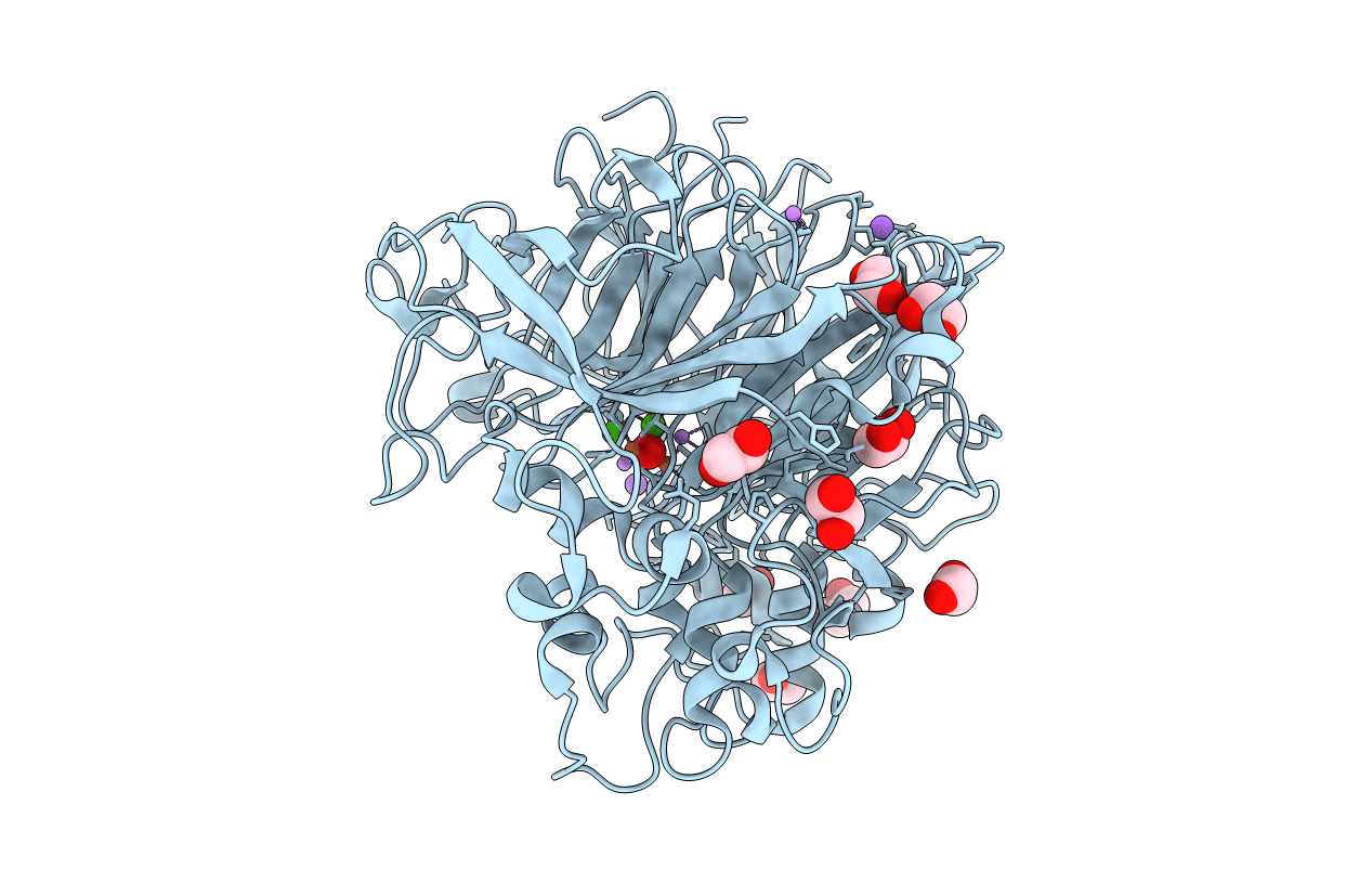 4A9V image