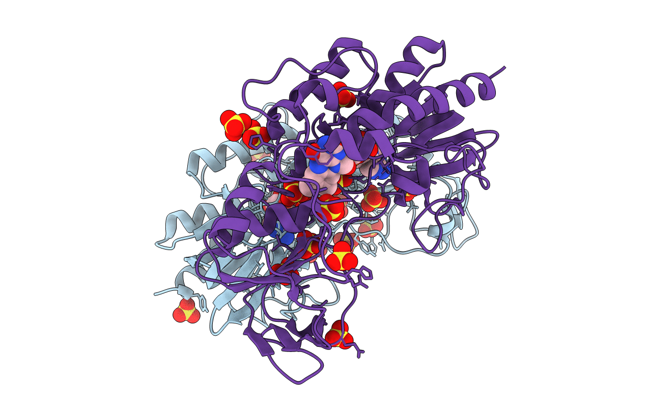 4A9W image