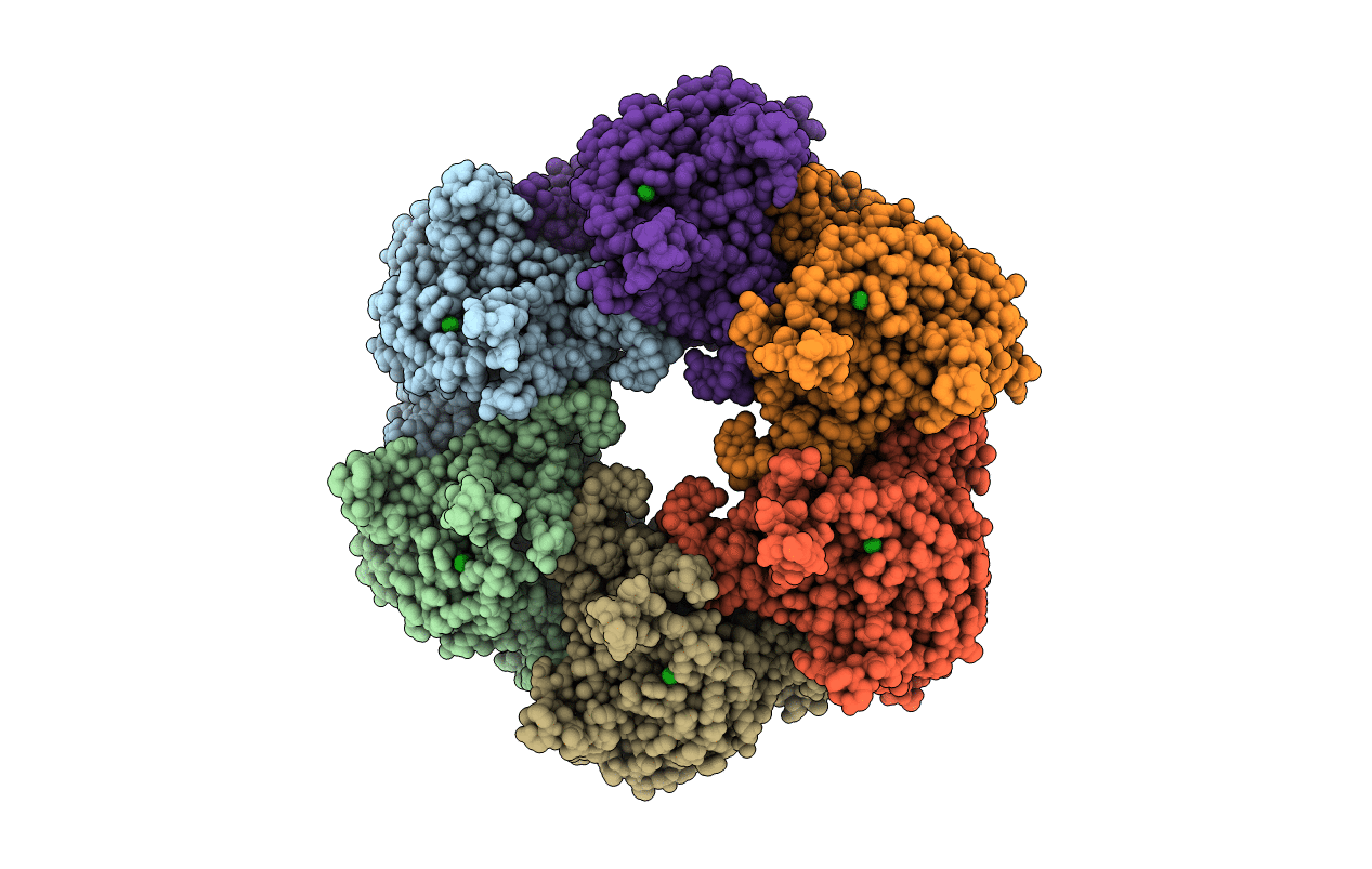 4ACF image