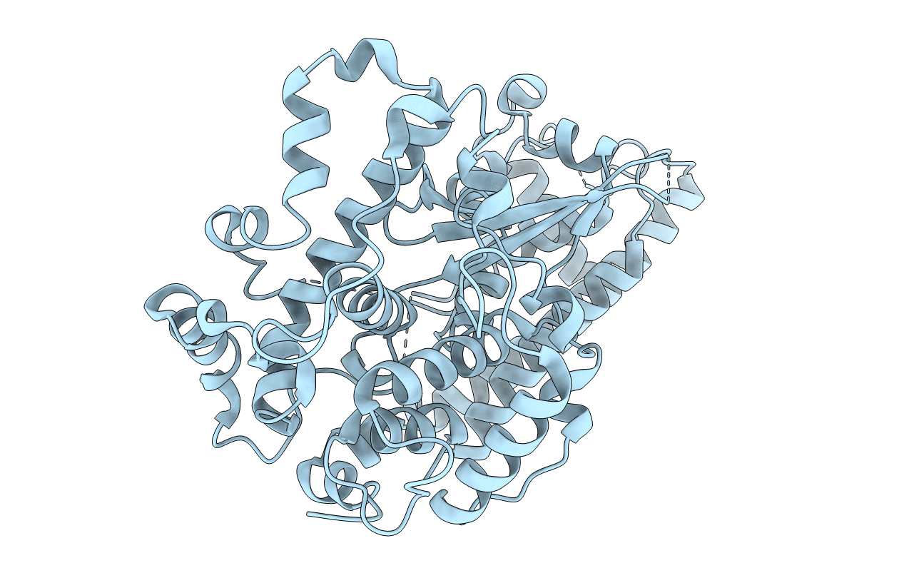 4ACO image