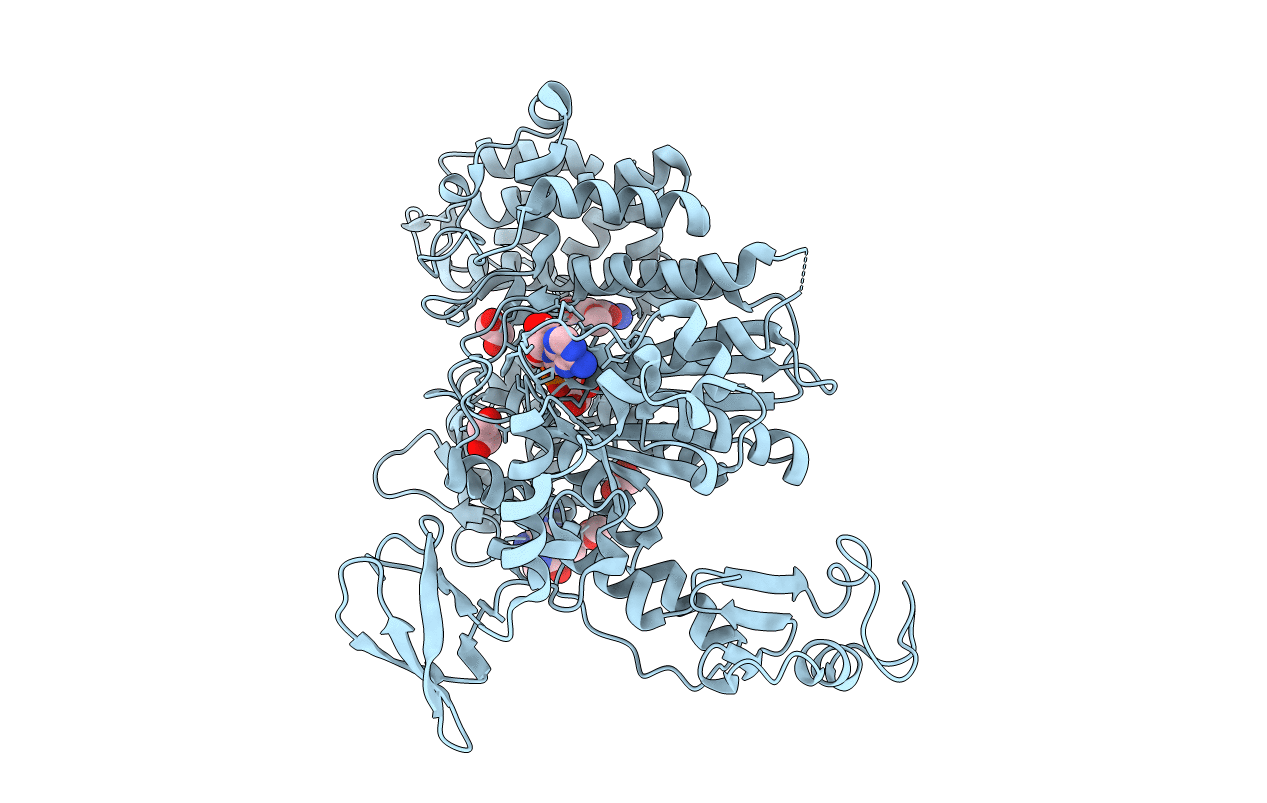 4AE3 image