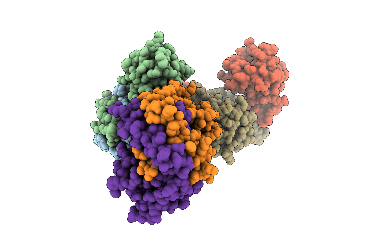 4AIH image