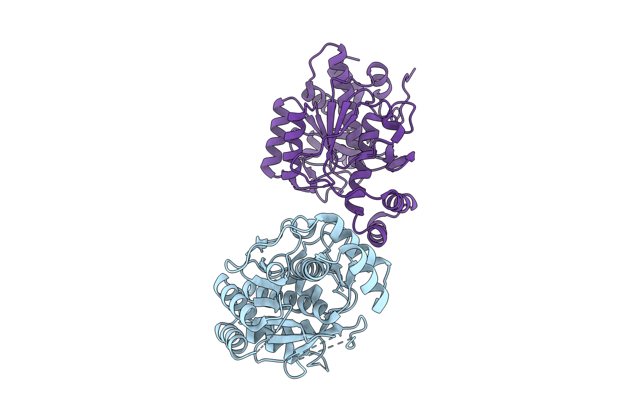 4AKS image