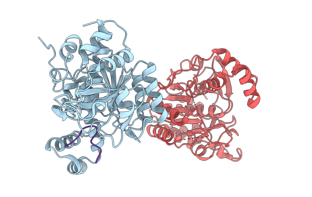 4AKT image