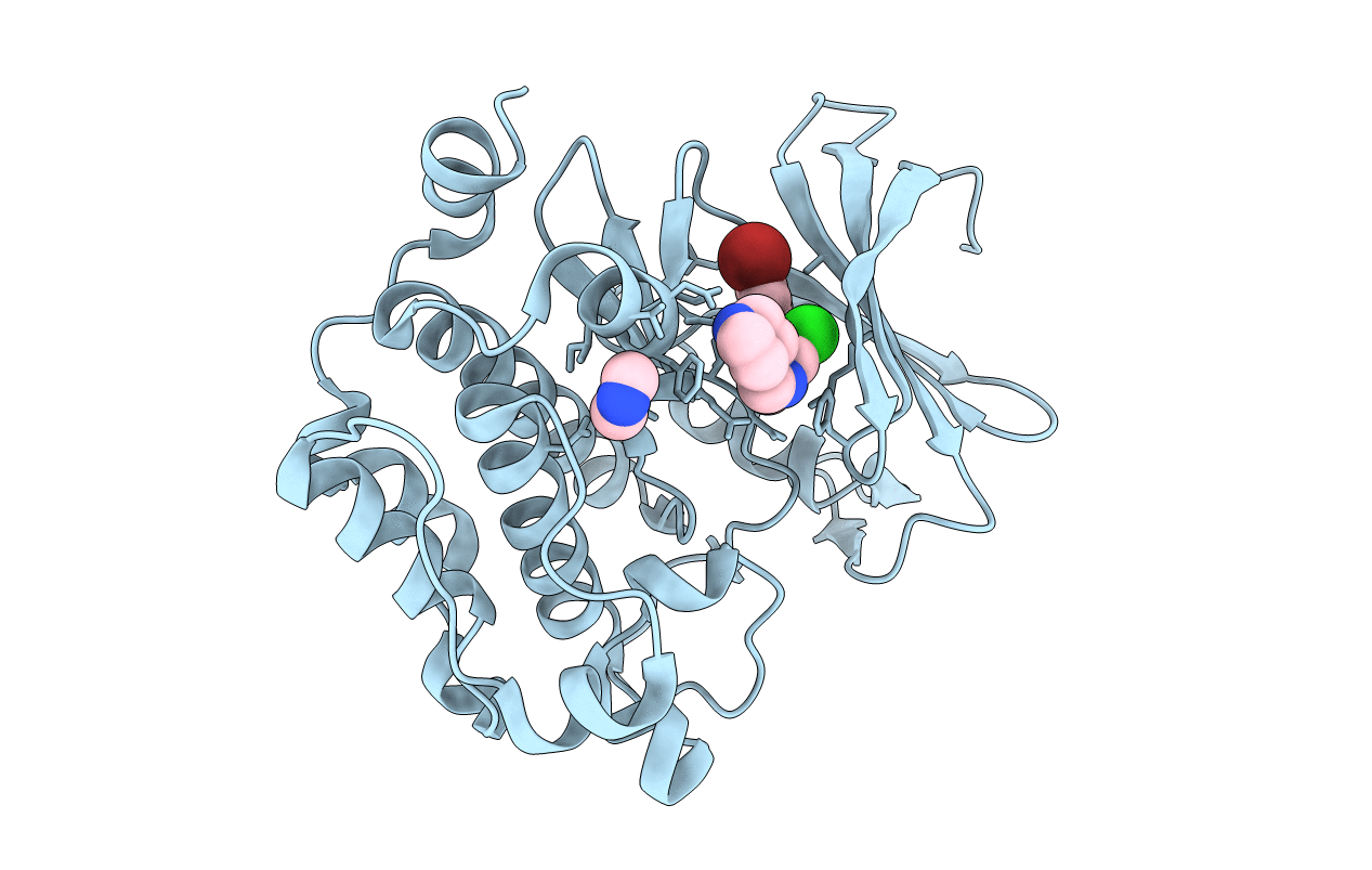 4ALV image