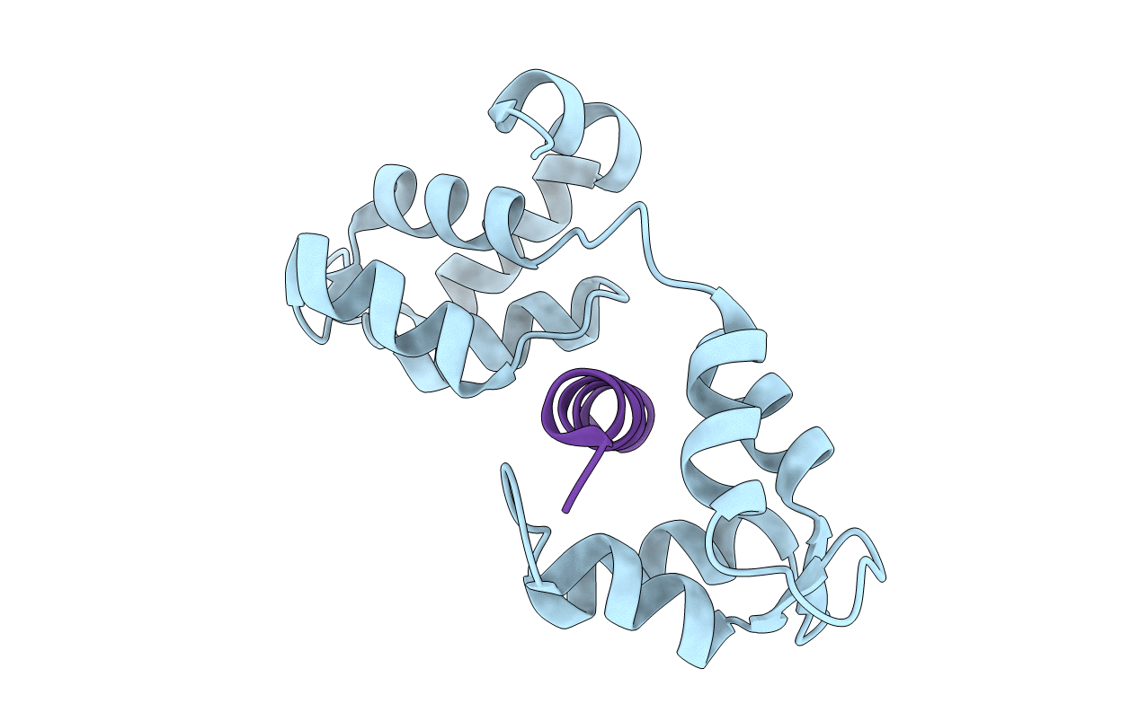 4AOM image