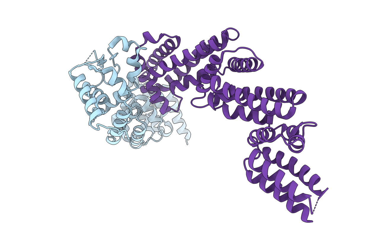 4APF image