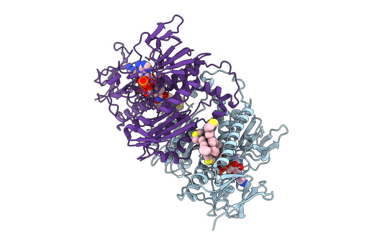 4APN image