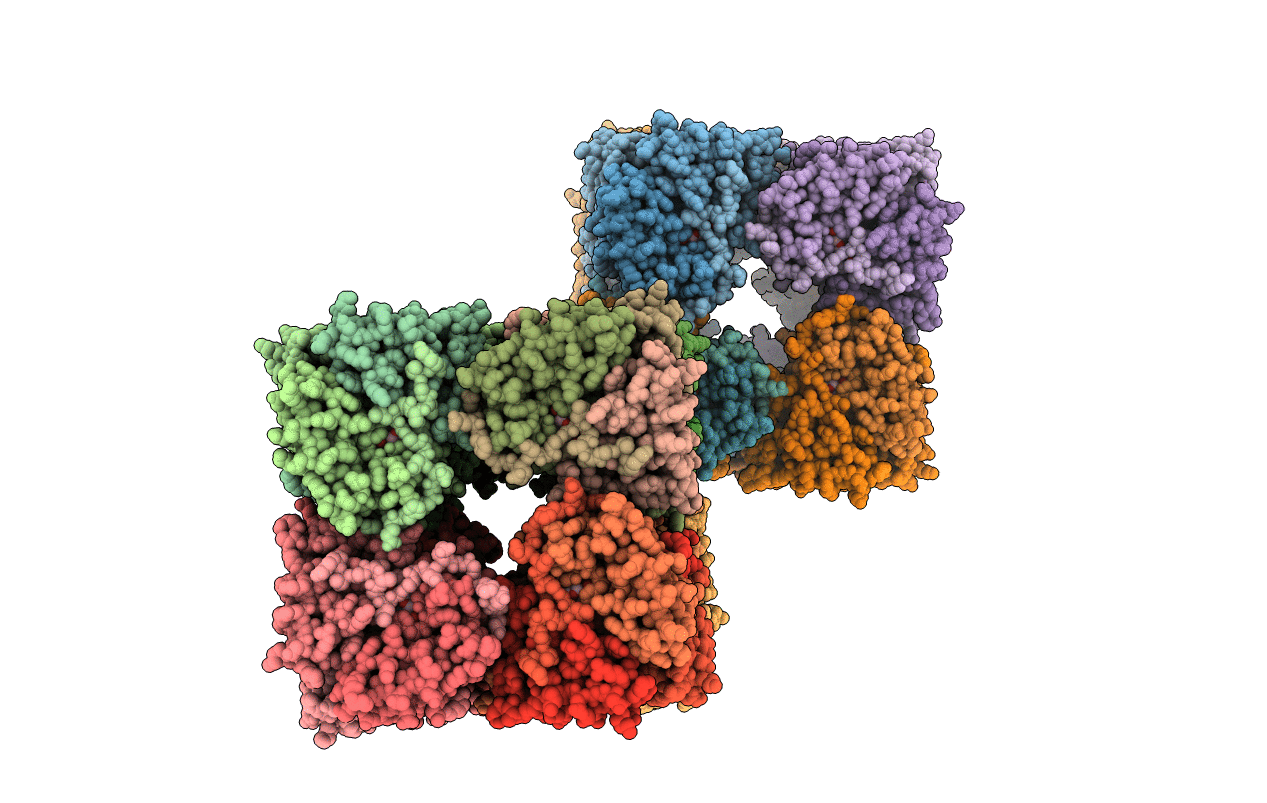 4APZ image