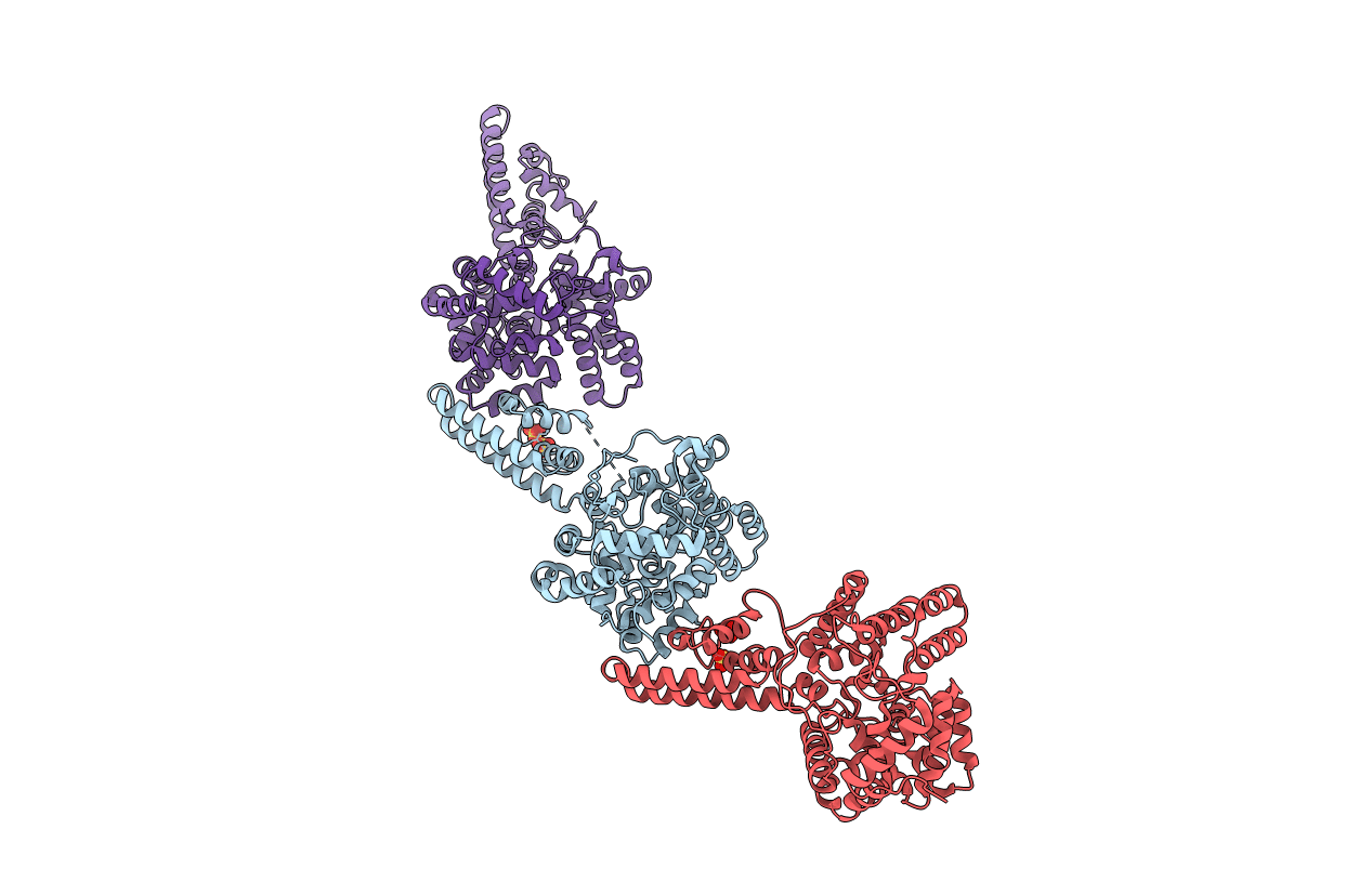 4AQF image