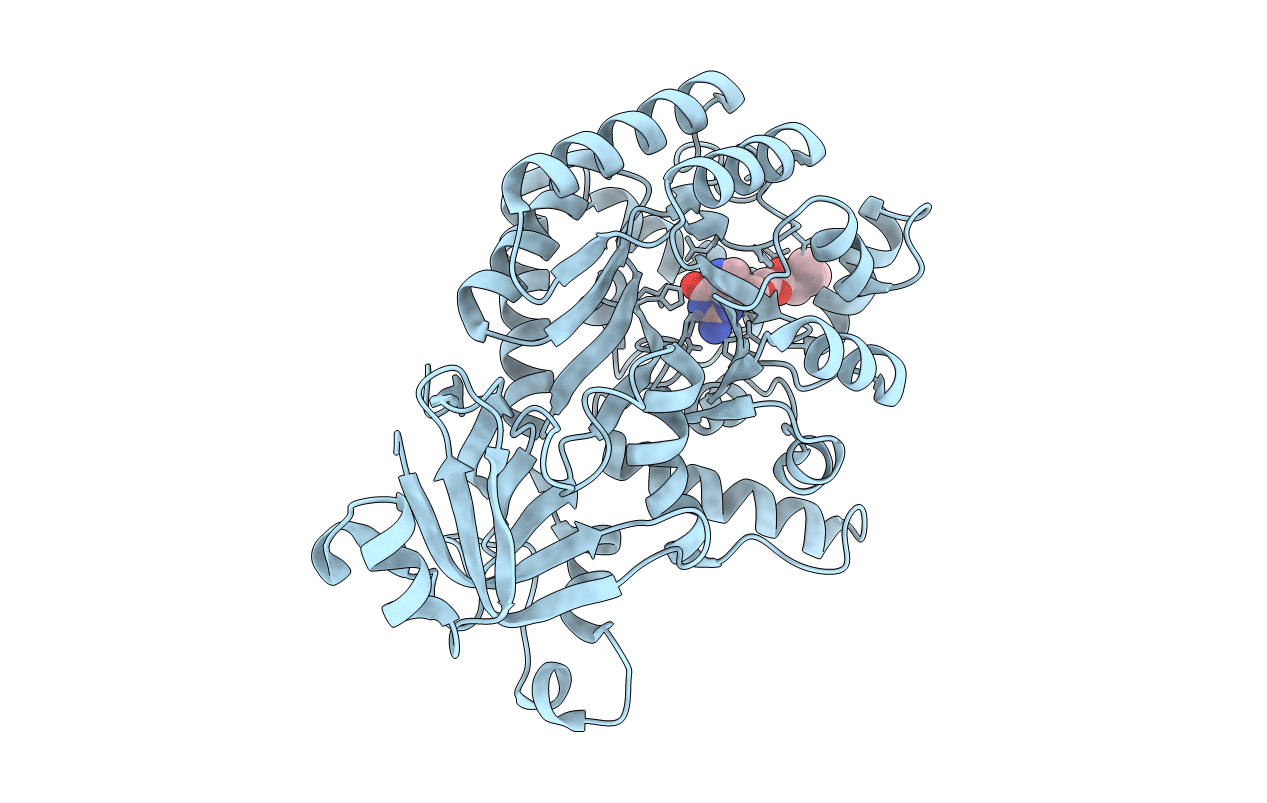 4AQL image