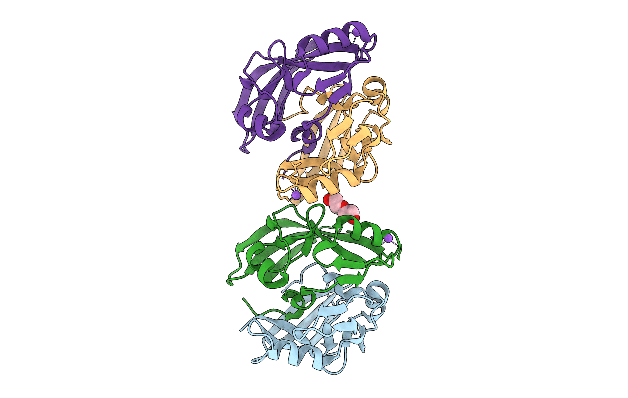 4AQP image
