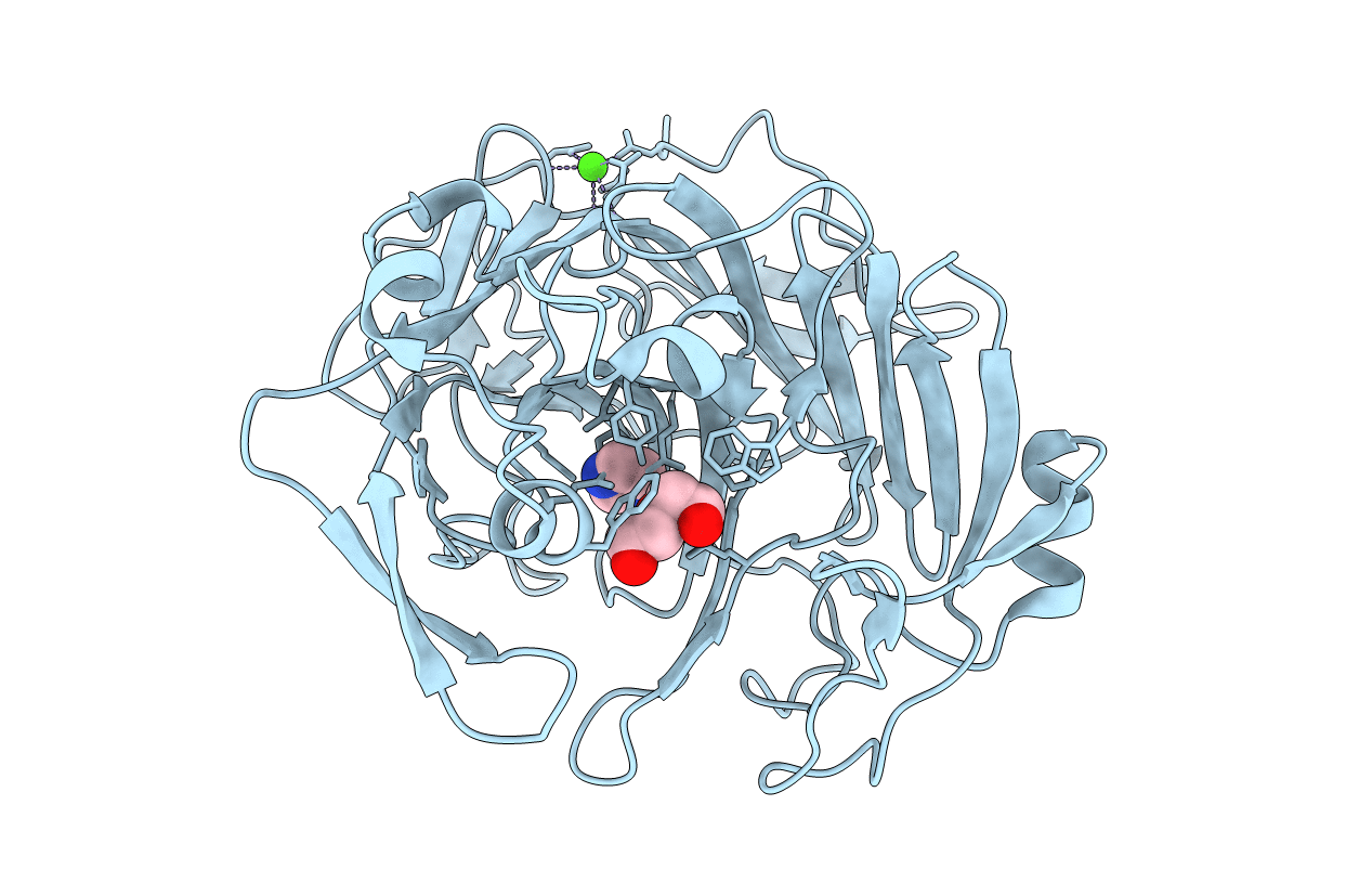 4ASM image