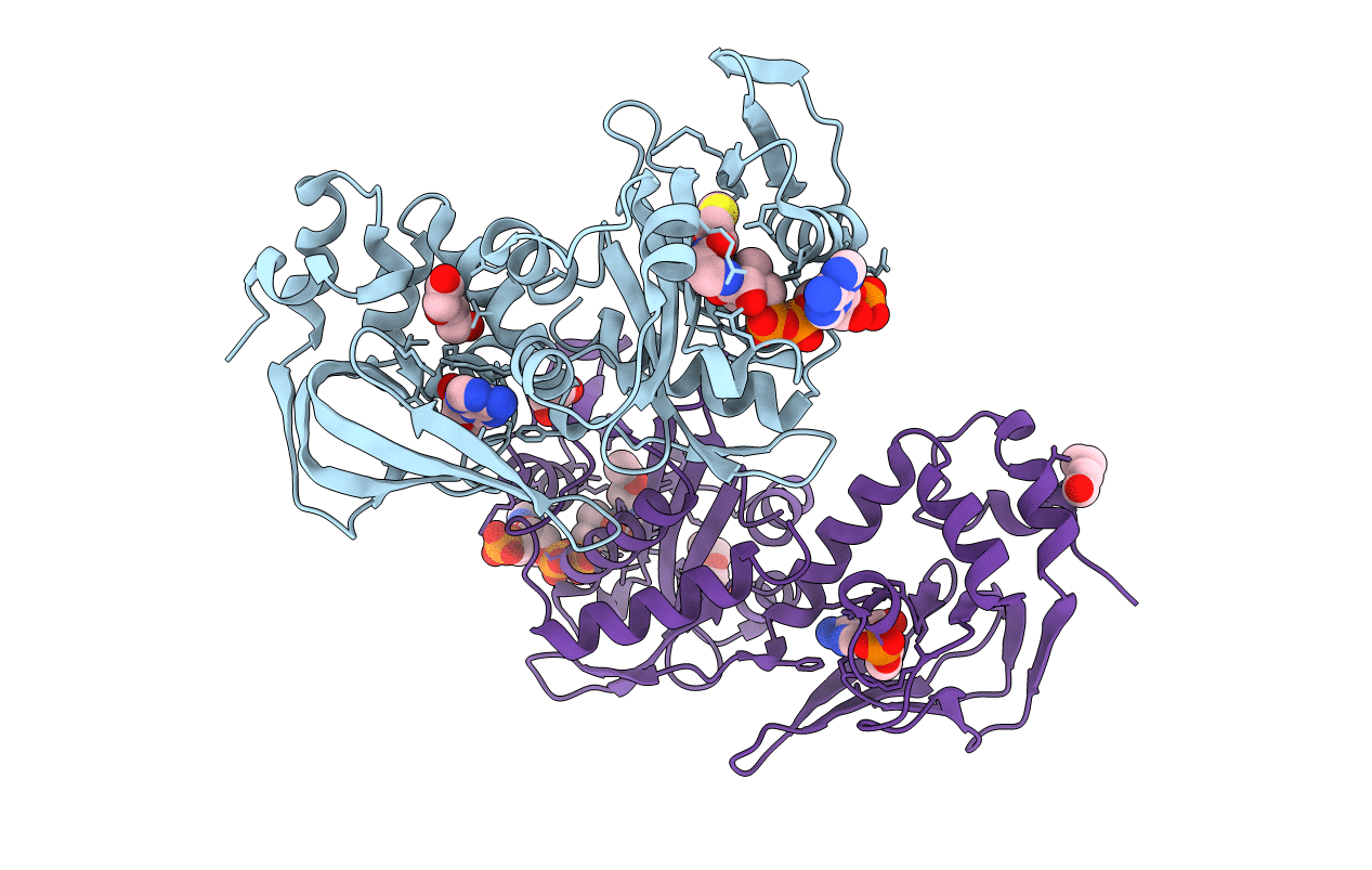 4AVC image
