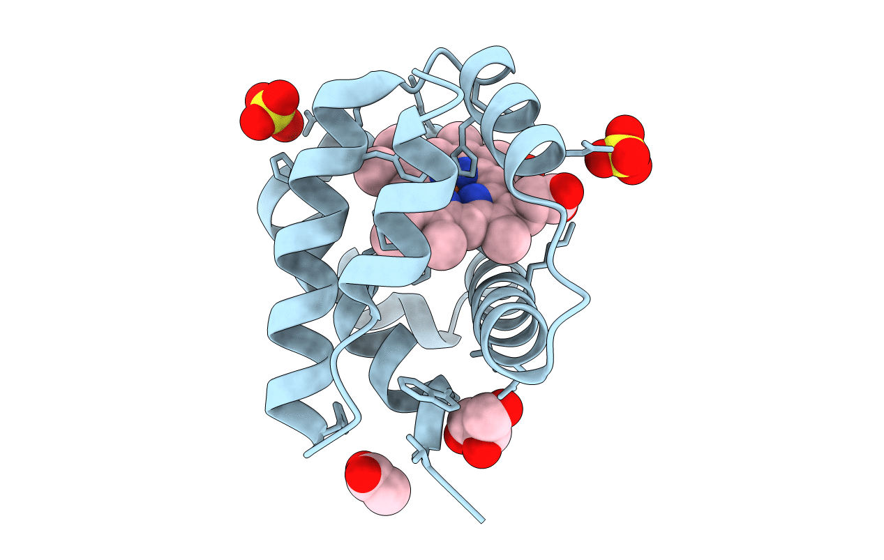 4AVD image