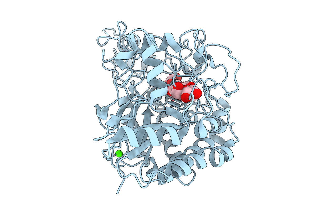 4AVN image