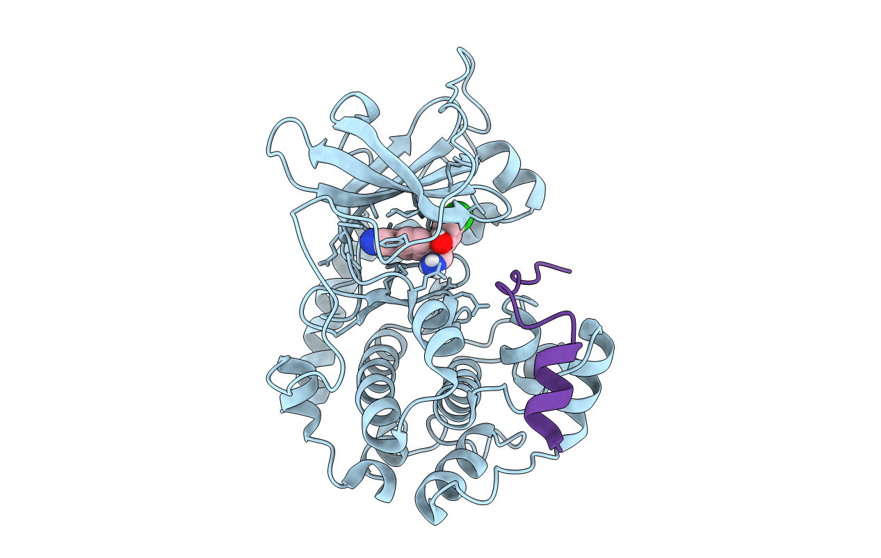 4AXA image