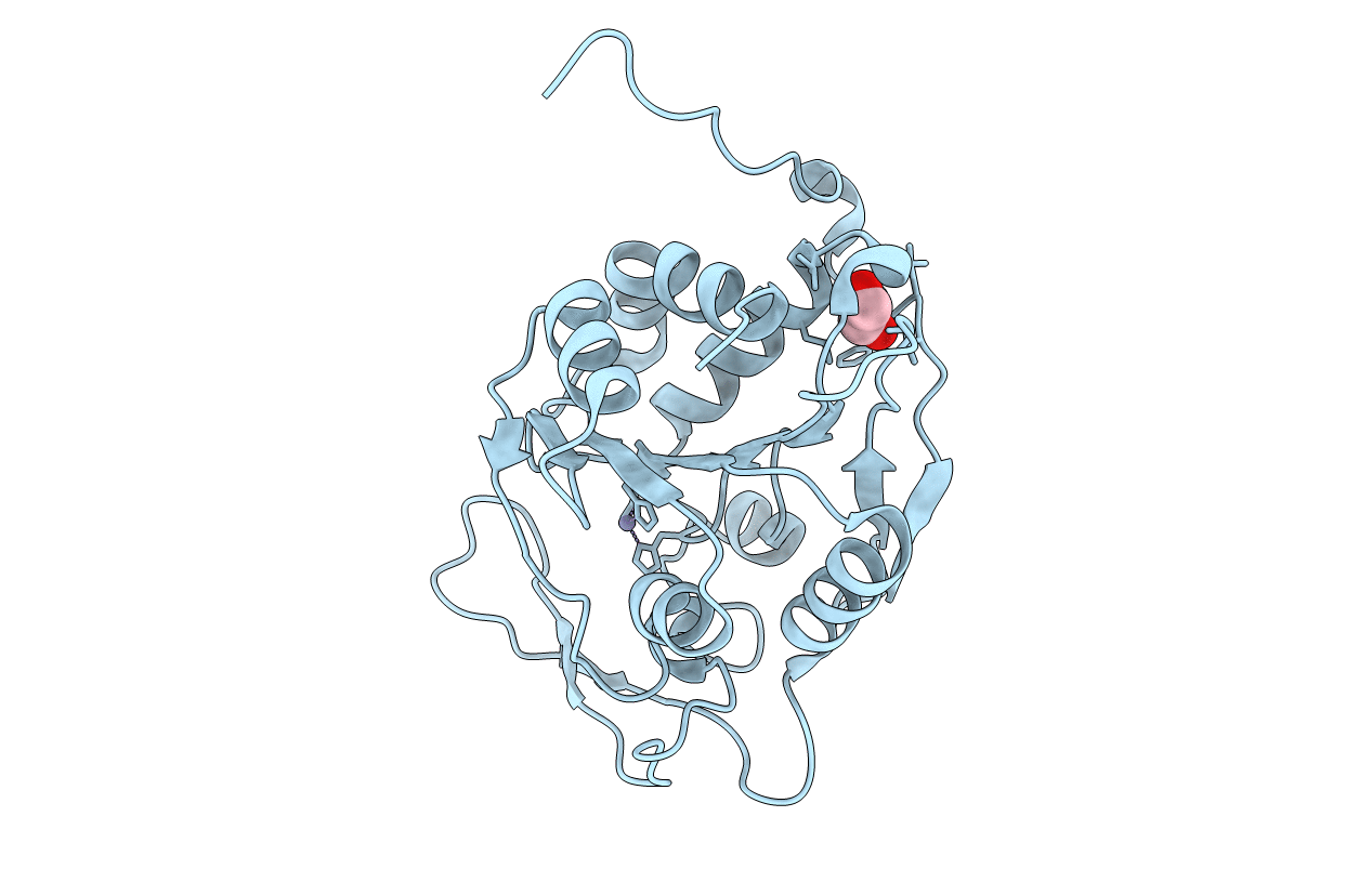 4AXV image
