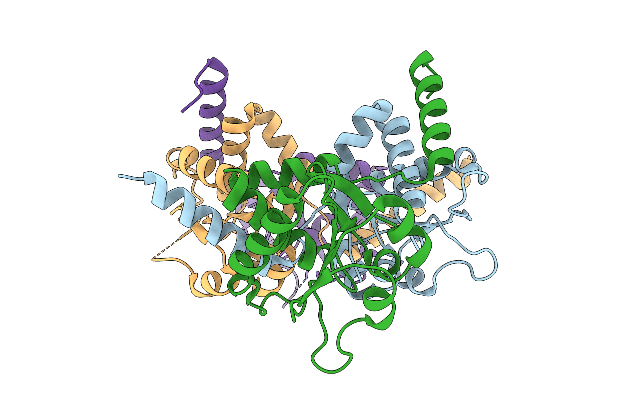 4B04 image