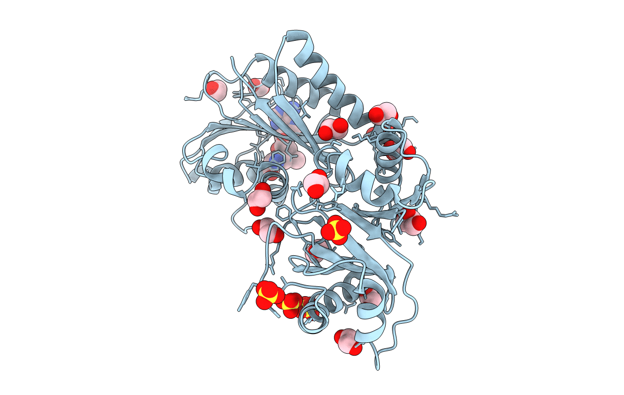 4B17 image