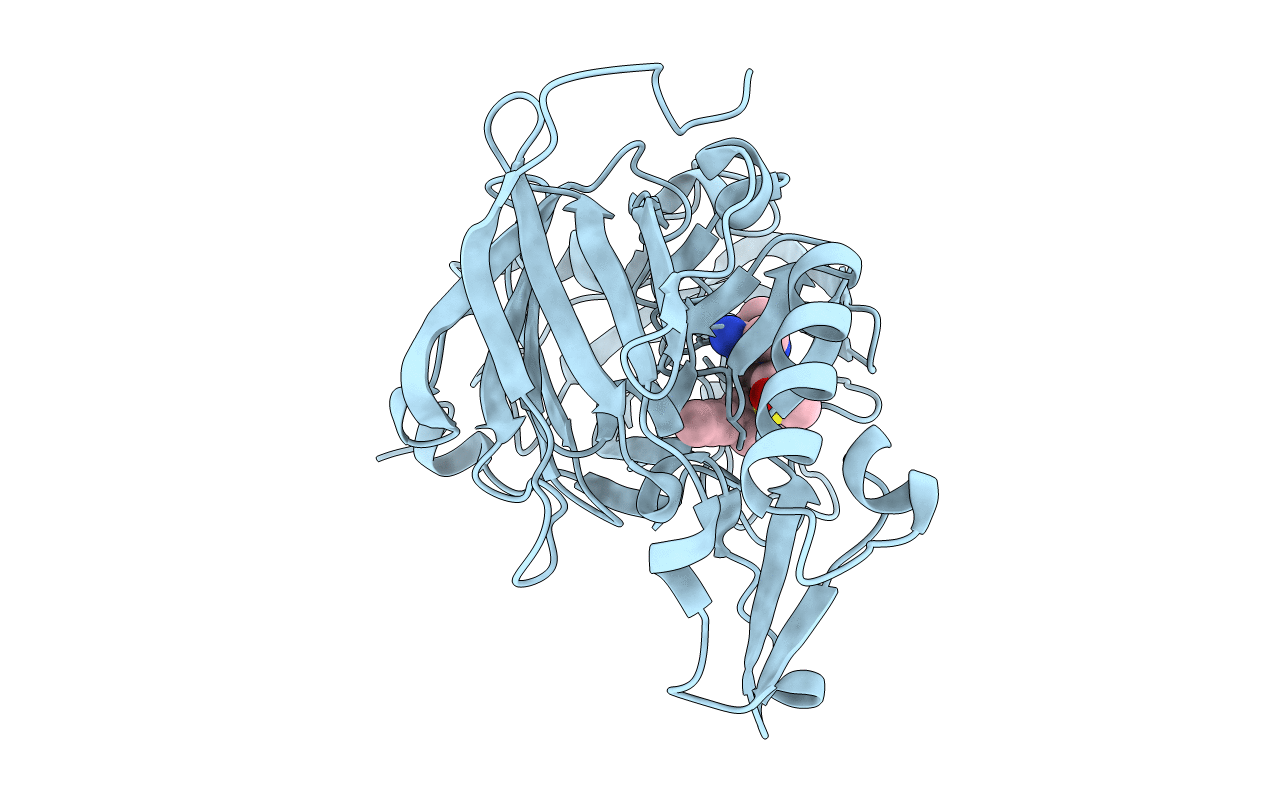 4B1C image