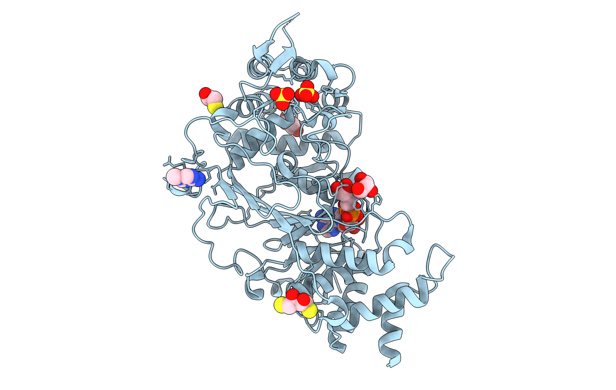 4B1H image