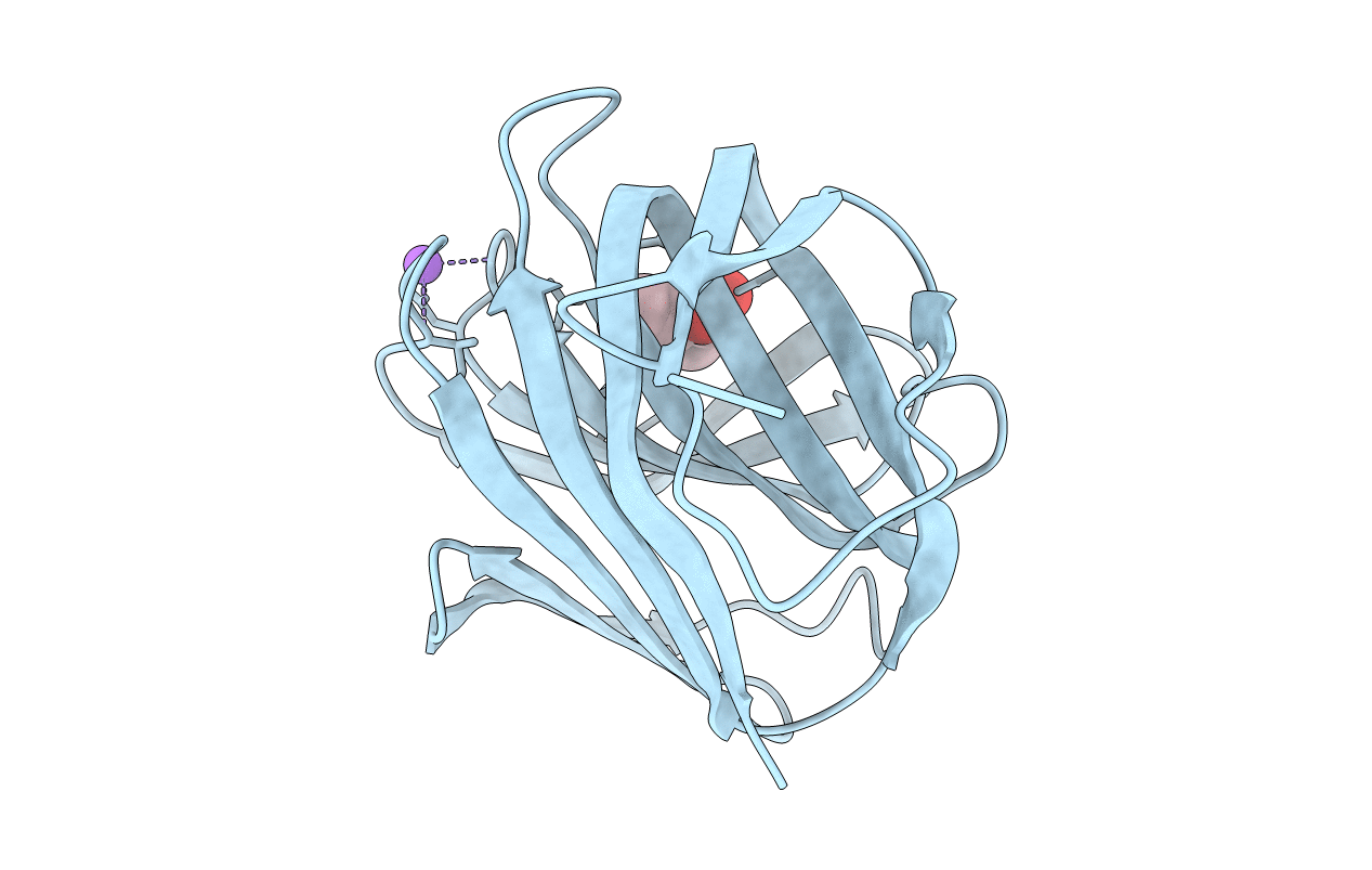 4B1L image