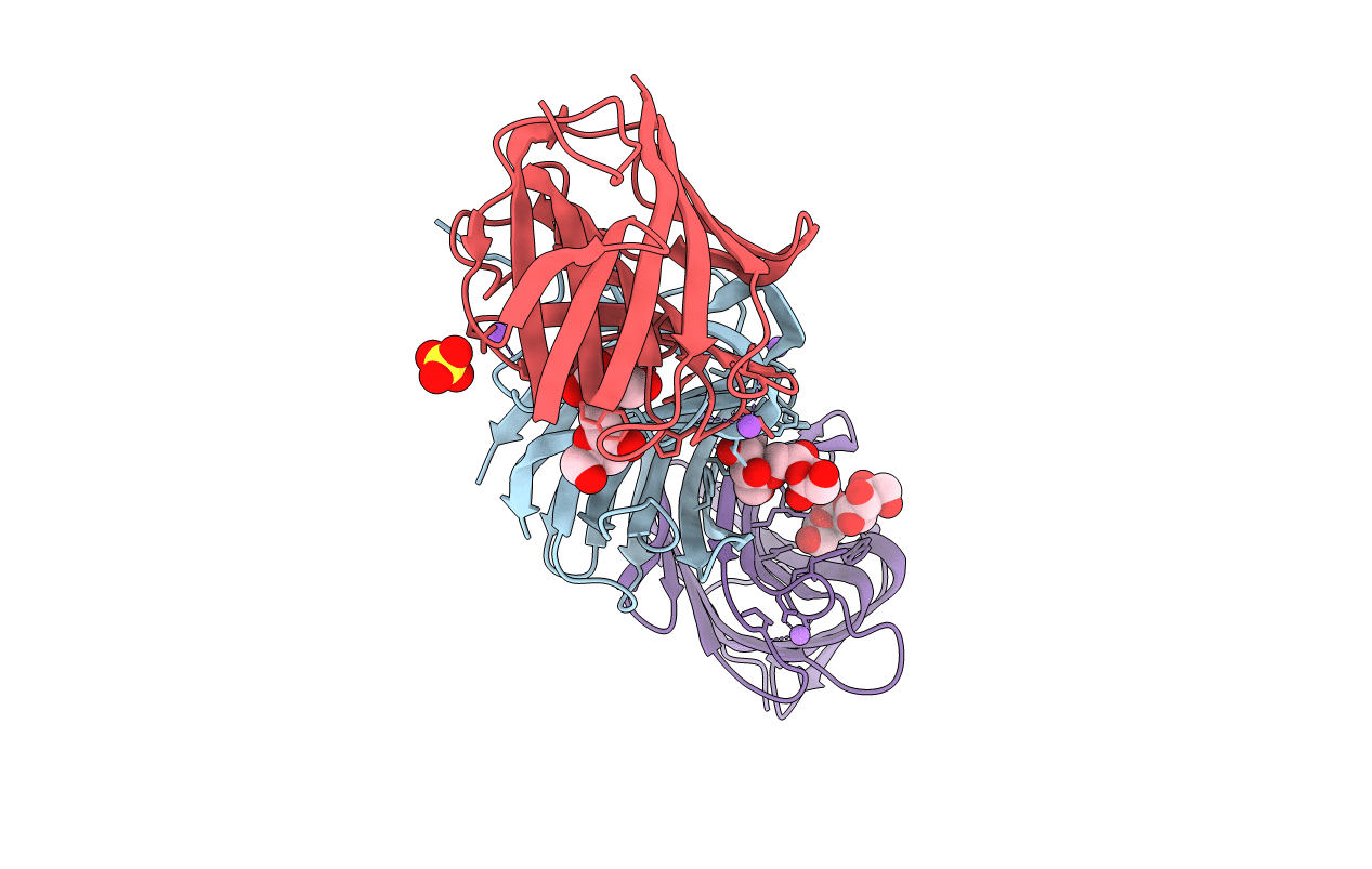 4B1M image