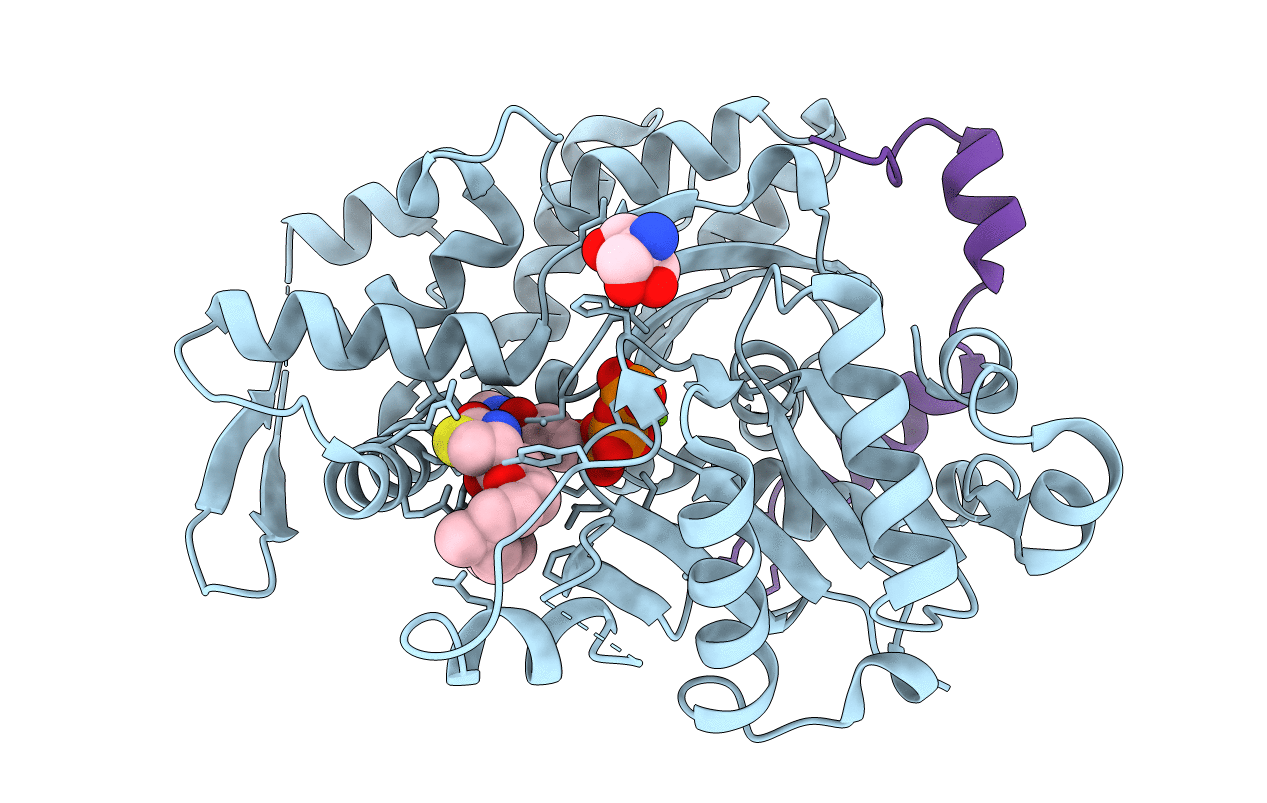 4B1U image