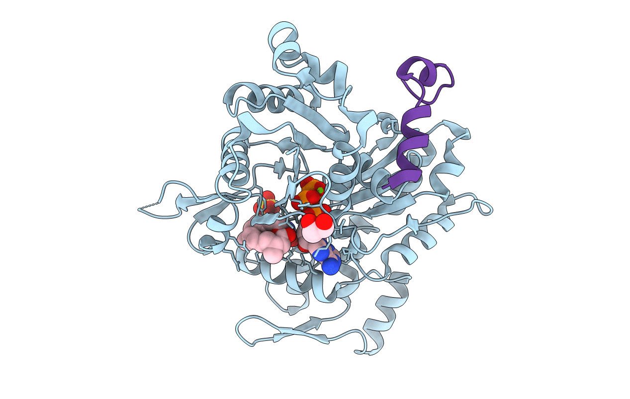 4B1W image