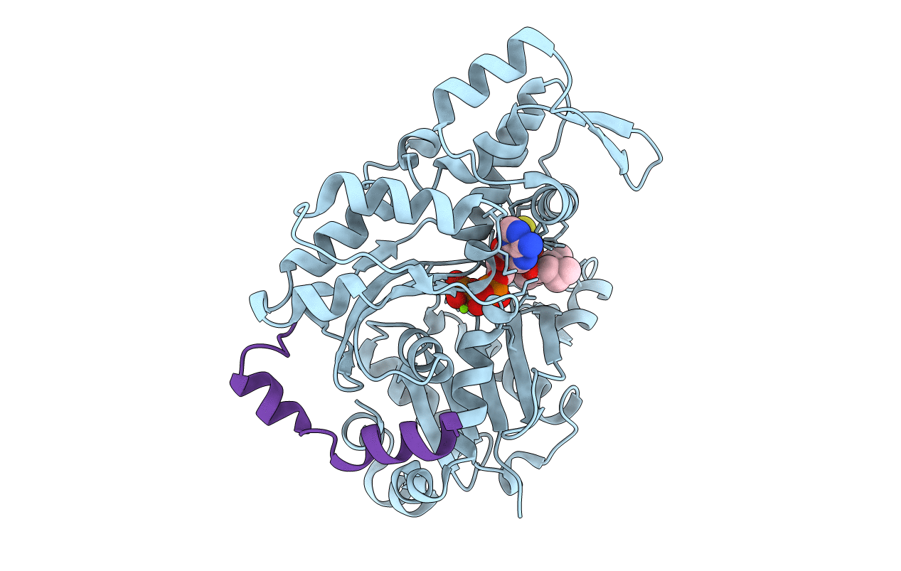 4B1X image