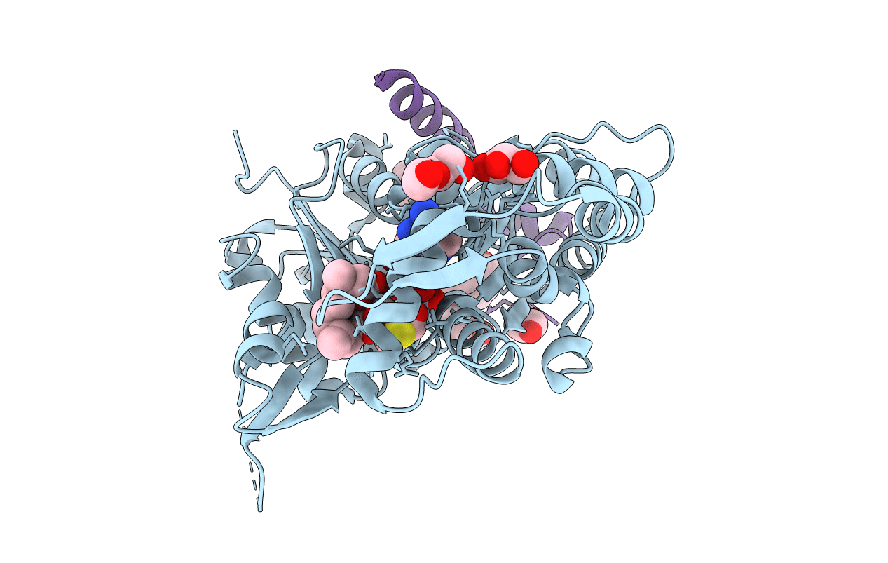 4B1Y image