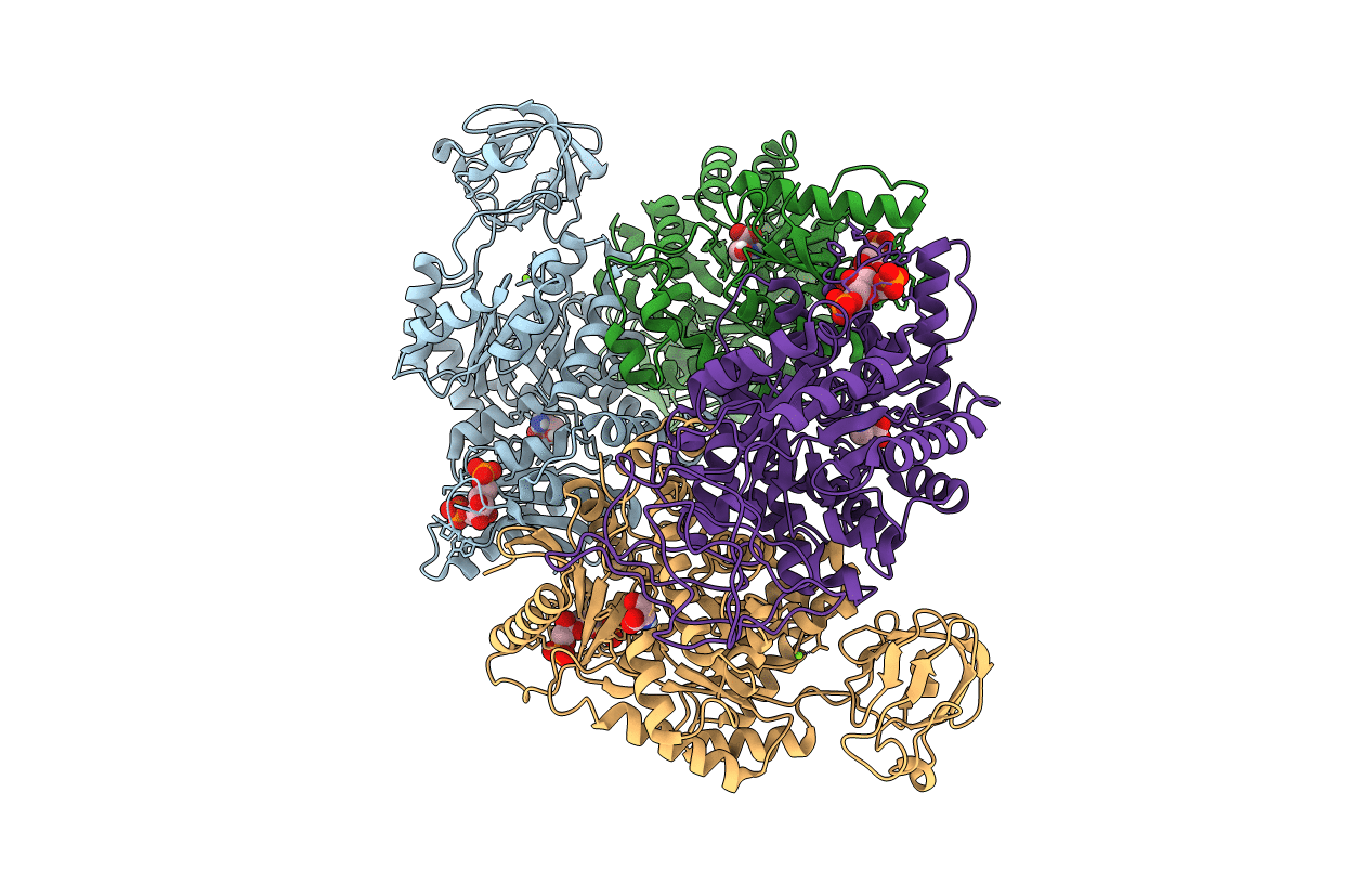 4B2D image