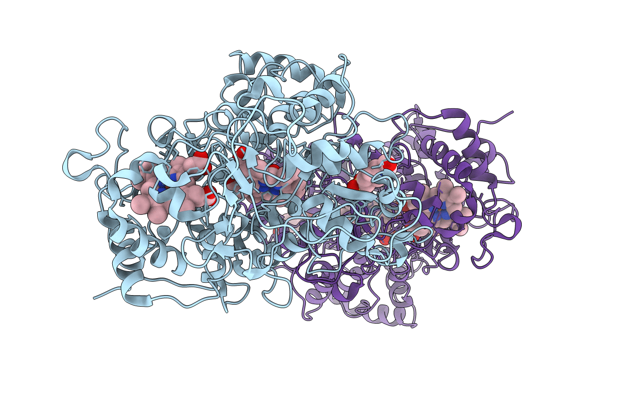 4B2N image