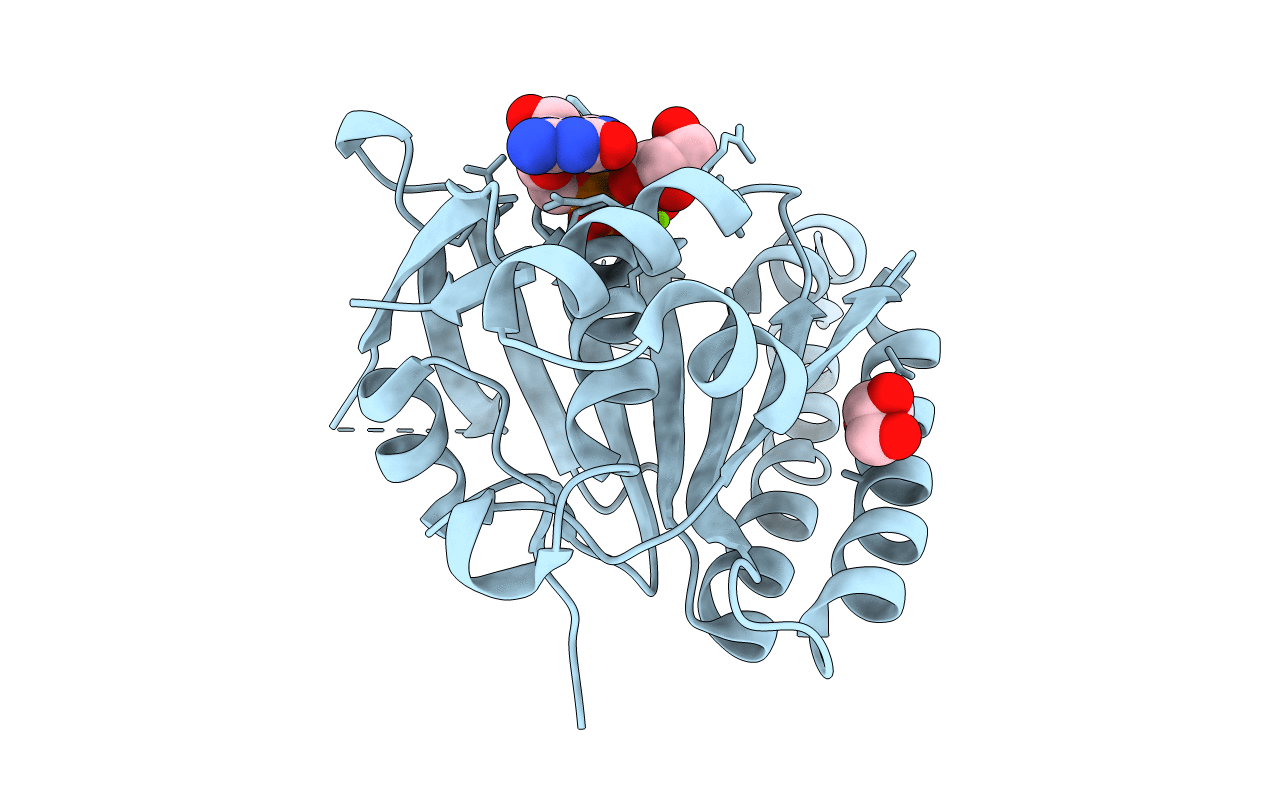 4B2P image