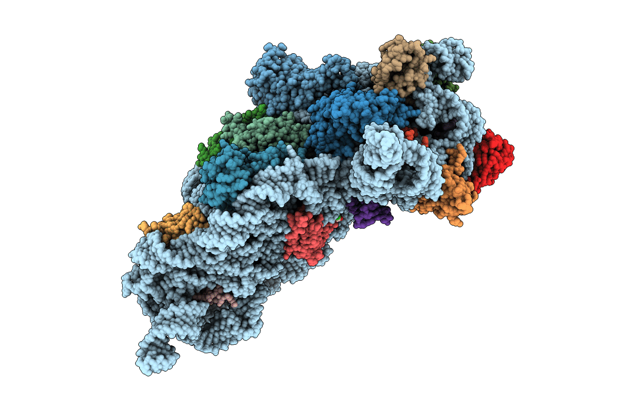 4B3T image