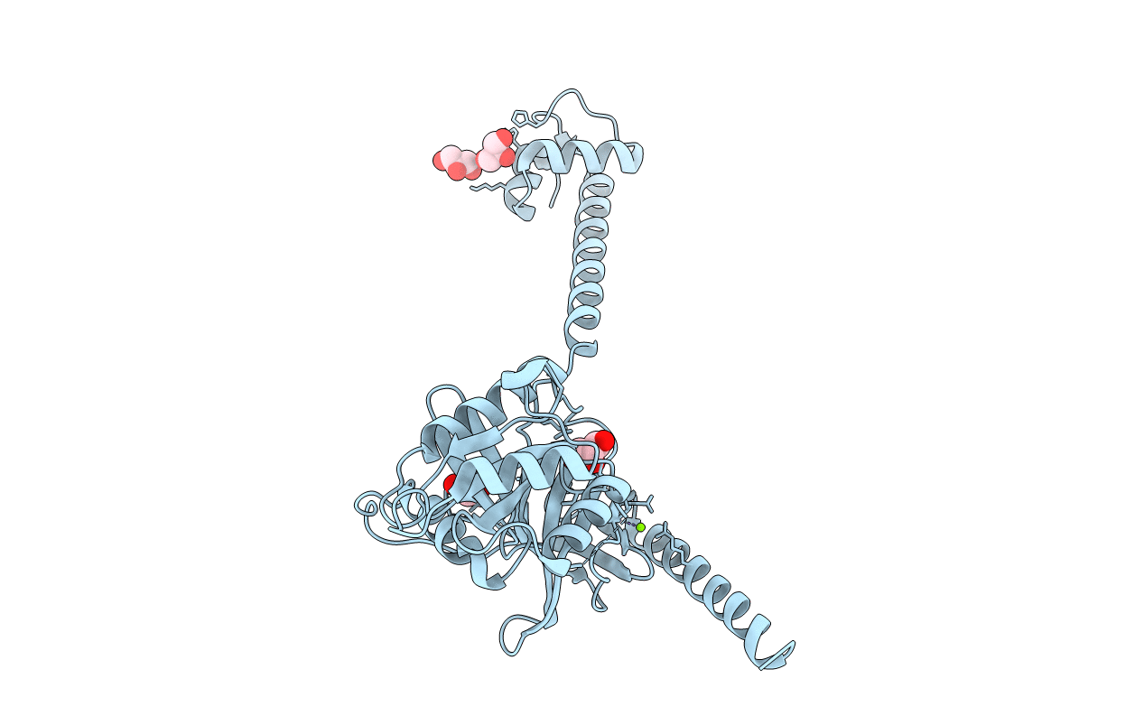 4B43 image