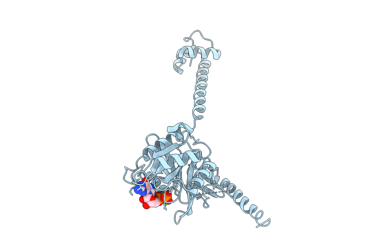 4B47 image
