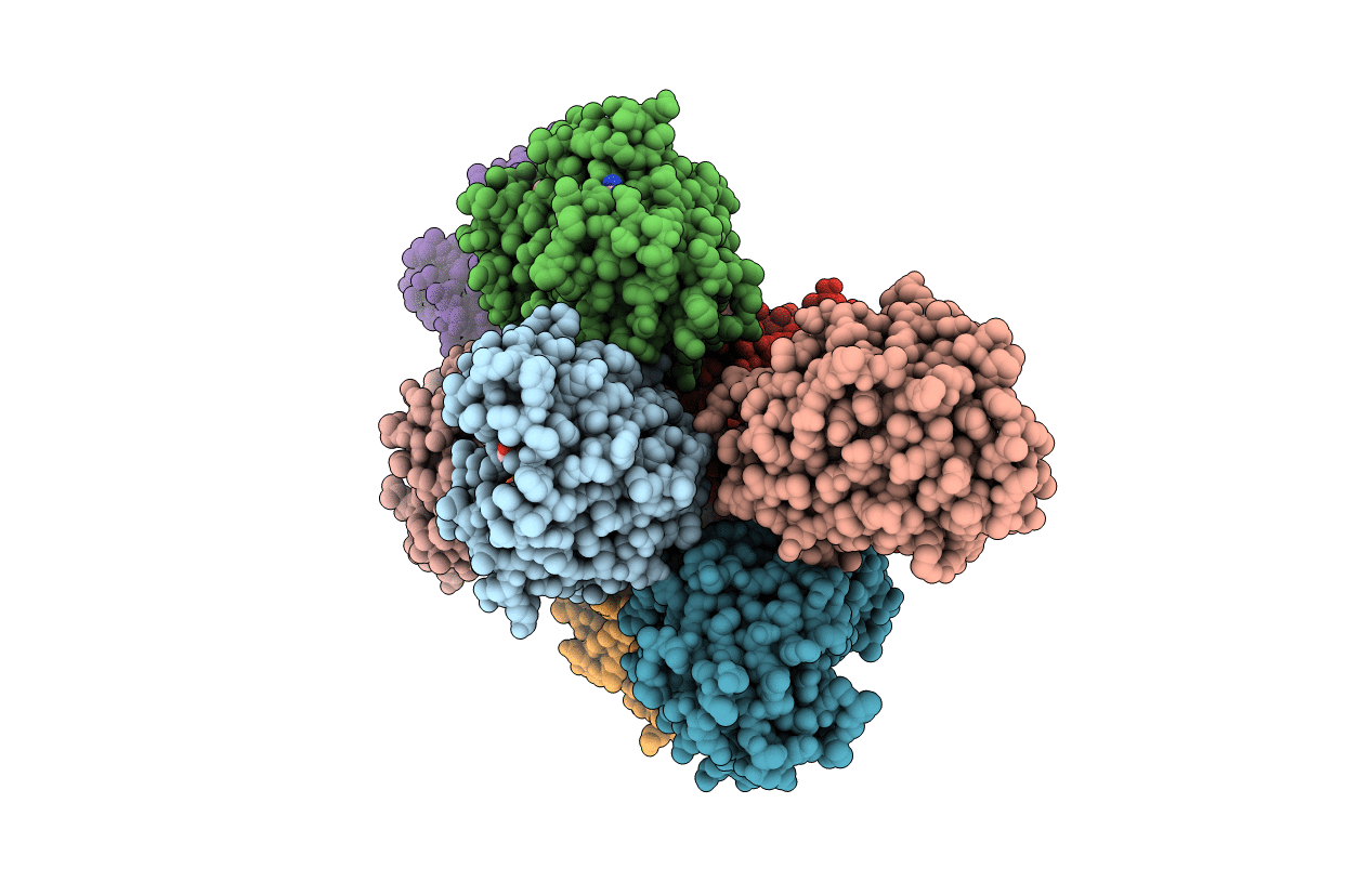 4B4O image